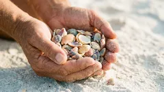 Léto na pláži: co si můžete vzít s sebou – a co je zakázáno