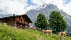 V těchto zemích jsou turisté vítáni s otevřenou náručí: cestování bez stresu