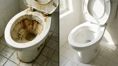 Tajemství hospodyňek: Jak vyčistit záchod bez zbytečné námahy